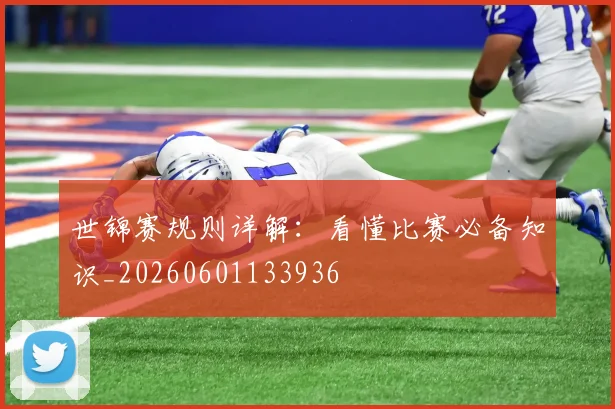 世锦赛规则详解:看懂比赛必备知识_20260601133936